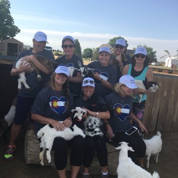 Barnyard Buddies - Pet Breeders Near Me - Loveland, Colorado