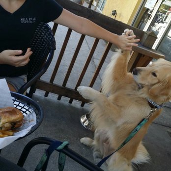 Anchor Tavern - Dog friendly - Bars Near Me - Tampa, Florida