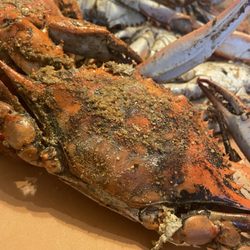 Blue Point Crab House - Large Male