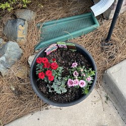 Southern Roots Garden Center
