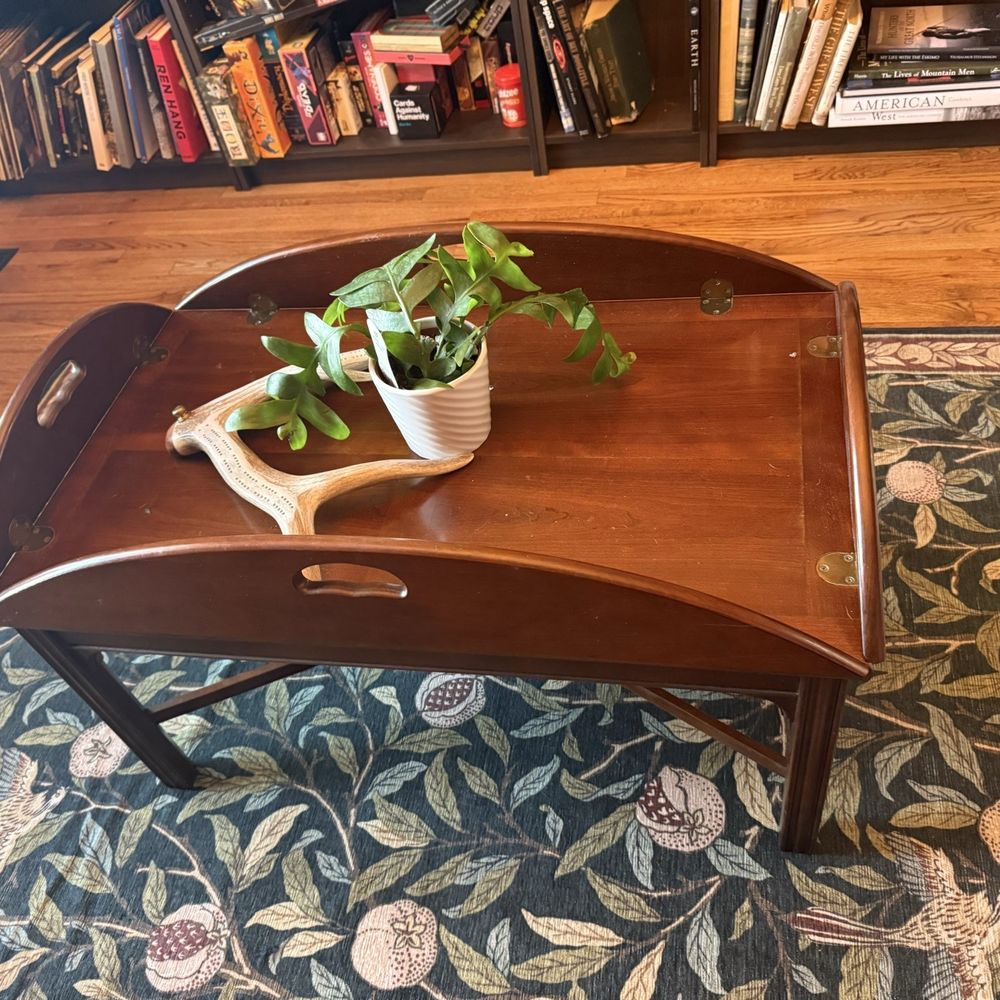 Vintage coffee table that I purchased.