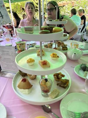 Woodland Park by null