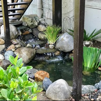 Pond Doctor - Landscape Architects or Designers Near Me Pond Doctor - Landscape Architects or Designers Near Me