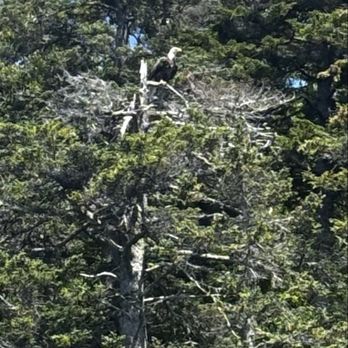 Island Cruises - Boating Near Me - Bass Harbor, Maine