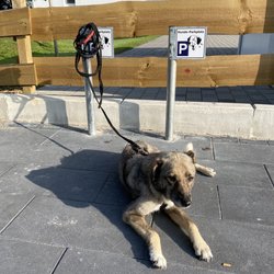 Netto Marken-Discount - Hindeparkplatz vorhanden