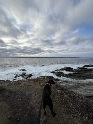 Beavertail State Park by null