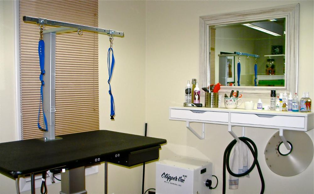 WAGS & WHISKERS GROOMING SPA Updated September 2024 39 Photos