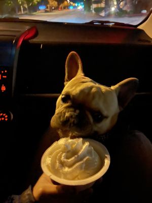McConnell's Fine Ice Cream by null