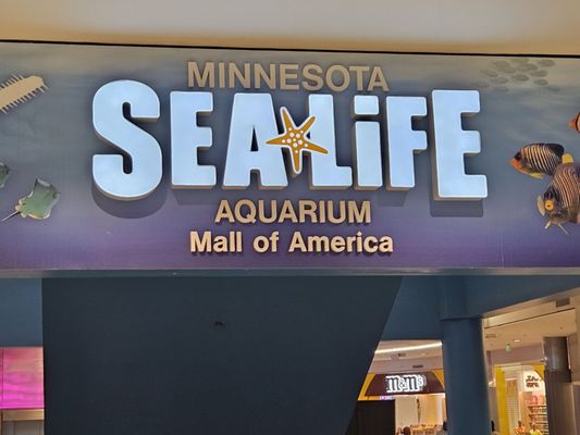 SEA LIFE at Mall of America by null