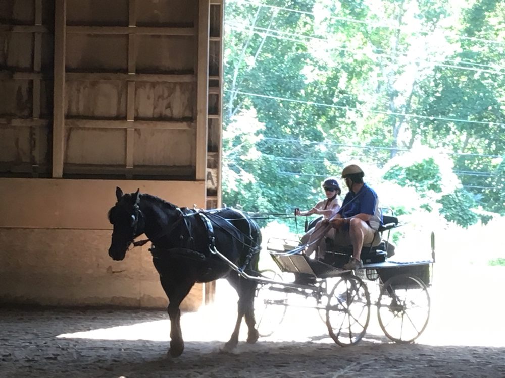 BLACKHORSE EQUESTRIAN CENTER Updated September 2024 325 Amity Rd, Bethany, Connecticut