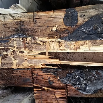 B & G Roofing - termite infested wood - Roofing Near Me - Covina, California B & G Roofing - termite infested wood - Roofing Near Me - Covina, California