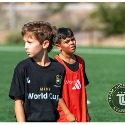 TLU ACADEMY
Private Soccer Lessons
1 v 1 Online Consoltation
Soccer Camp
Futsal