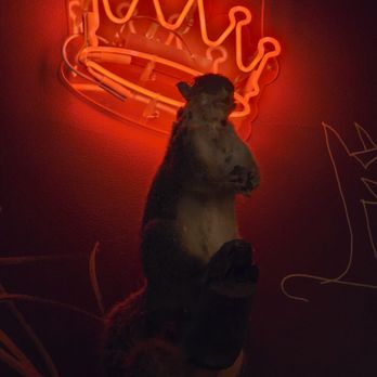 Donnie Vegas - Art on the wall. King of the squirrels! - Dive Bars Near Me - Portland, Oregon Donnie Vegas - Art on the wall. King of the squirrels! - Dive Bars Near Me - Portland, Oregon
