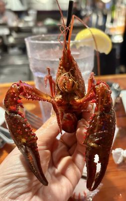 Dons Seafood - Lafayette by null