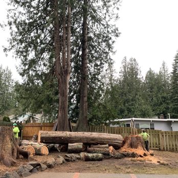 Northern Craft Tree Solutions - Tree Services Near Me
