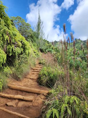 Ha'ena State Park by null