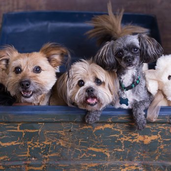Ellerslie Pet Hospital - My Family. - Veterinarians Near Me - Edmonton, Alberta Ellerslie Pet Hospital - My Family. - Veterinarians Near Me - Edmonton, Alberta