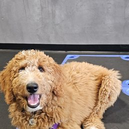 River having a blast in class