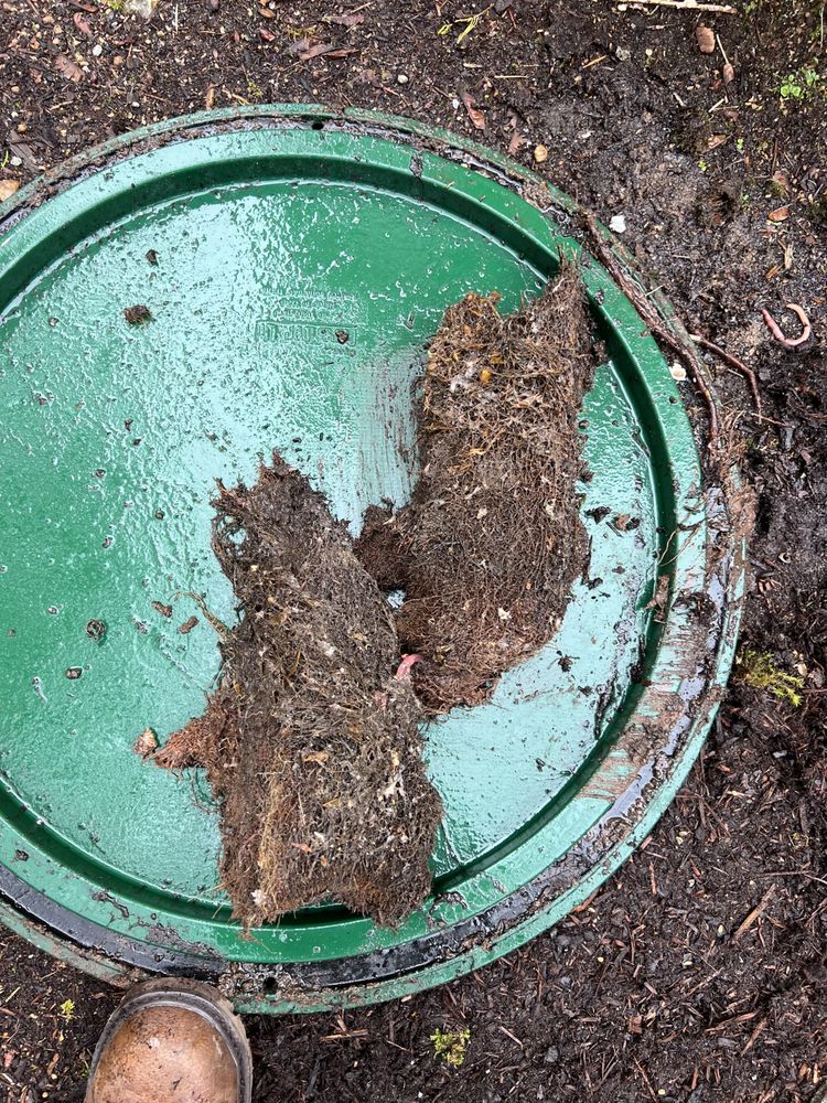 Slide of Septic Response