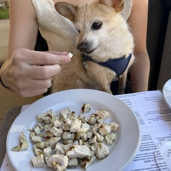 Positano Ristorante - Dog friendly patio, grill chicken breast - Wine Bars Near Me - Wheaton, Illinois Positano Ristorante - Dog friendly patio, grill chicken breast - Wine Bars Near Me - Wheaton, Illinois