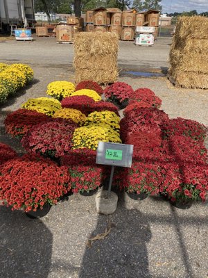 Pee Dee State Farmers Market by null