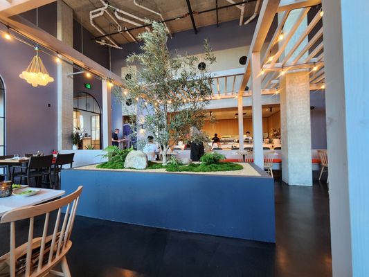 Momiji Redmond by null