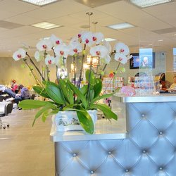 Cosmo Nail Bar & Organic Spa