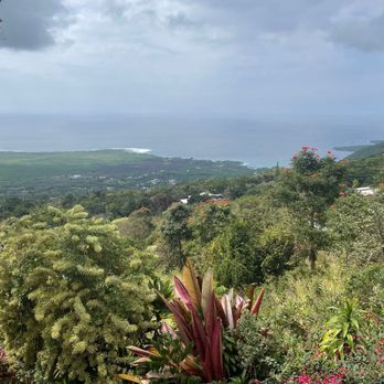 The Coffee Shack - View from the wait - Coffee & Tea Near Me - Captain Cook, Hawaii The Coffee Shack - View from the wait - Coffee & Tea Near Me - Captain Cook, Hawaii