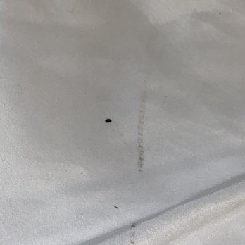 Quality Inn & Suites - Looked like rat crap at a number of spots under the cover. - Hotels Near Me - Hannibal, Missouri
