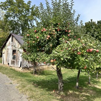Wightman Fruit Farm - Pick Your Own Farms Near Me - Kerhonkson, New York Wightman Fruit Farm - Pick Your Own Farms Near Me - Kerhonkson, New York