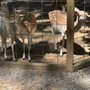 Photo of Gators & Friends