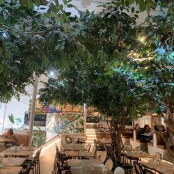 Pigeon Club Café