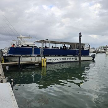 Pelican Harbor Seabird Station - Community Service/Non-Profit Near Me - Miami, Florida Pelican Harbor Seabird Station - Community Service/Non-Profit Near Me - Miami, Florida