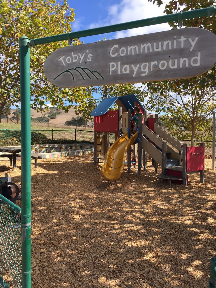 Toby's Community Playground Logo