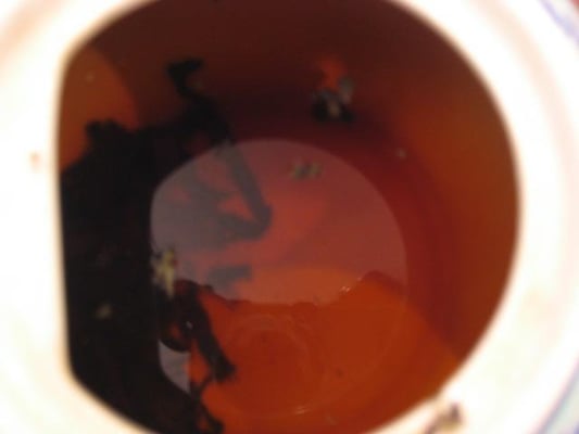 Vegetarian Dim Sum House by null