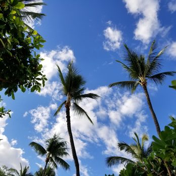 Baby Beach - Beaches Near Me - Lahaina, Hawaii Baby Beach - Beaches Near Me - Lahaina, Hawaii