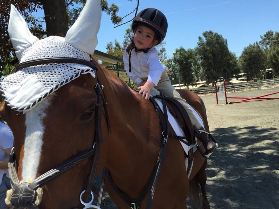 Novak Equestrian - equestrian in Los Angeles, CA