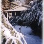 Photo of Mitchell's Lodge & Cottages