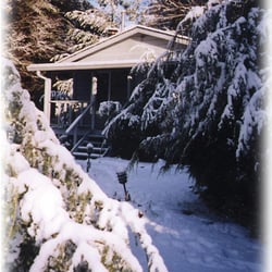 Mitchell's Lodge & Cottages - Chestnut Cottage in the snow.