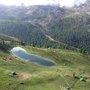 Photo of Leisee