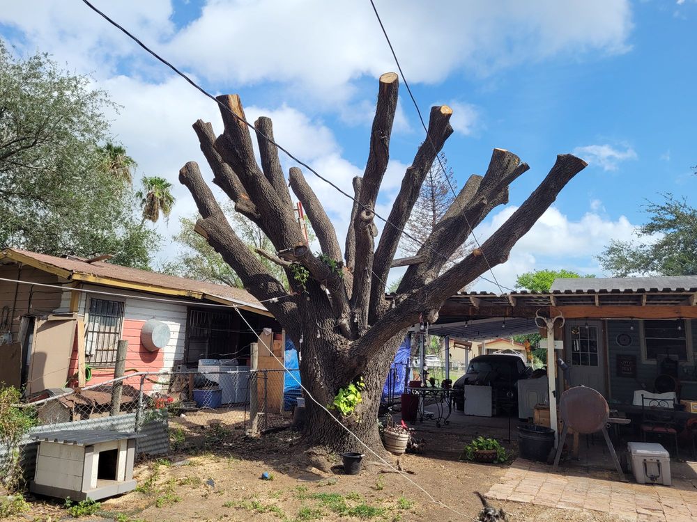 Slide of Trinidad Services