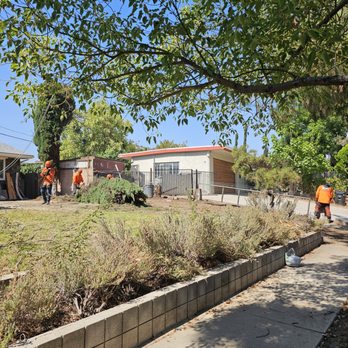 All About Trees - Look of our house with 1 tree to go. - Tree Services Near Me - West Hills, California All About Trees - Look of our house with 1 tree to go. - Tree Services Near Me - West Hills, California