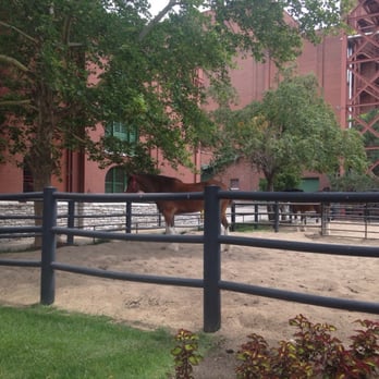 Budweiser Brewery Experience - Beer Tours Near Me - Saint Louis, Missouri
