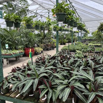 Flower World - And.... More houseplants! - Nurseries & Gardening Near Me - Snohomish, Washington