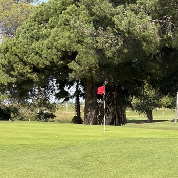 Newport Beach Golf Course - Green side starting back nine - Golf Near Me - Newport Beach, California Newport Beach Golf Course - Green side starting back nine - Golf Near Me - Newport Beach, California
