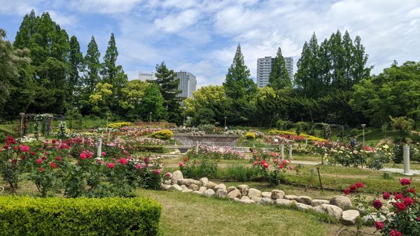 Utsubo Park by null