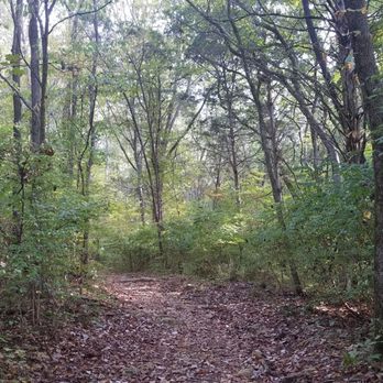 The Trails - Hiking Near Me - Nashville, Tennessee The Trails - Hiking Near Me - Nashville, Tennessee