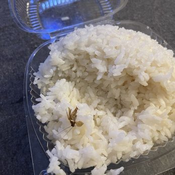 Fuji Grill - ORDERED SIDE OF RICE & FOUND A ROACH IN MY RICE FROM HERE!!!!!!! NEVER AGAIN!!!!!!!! - Japanese Near Me - Lakewood, California Fuji Grill - ORDERED SIDE OF RICE & FOUND A ROACH IN MY RICE FROM HERE!!!!!!! NEVER AGAIN!!!!!!!! - Japanese Near Me - Lakewood, California