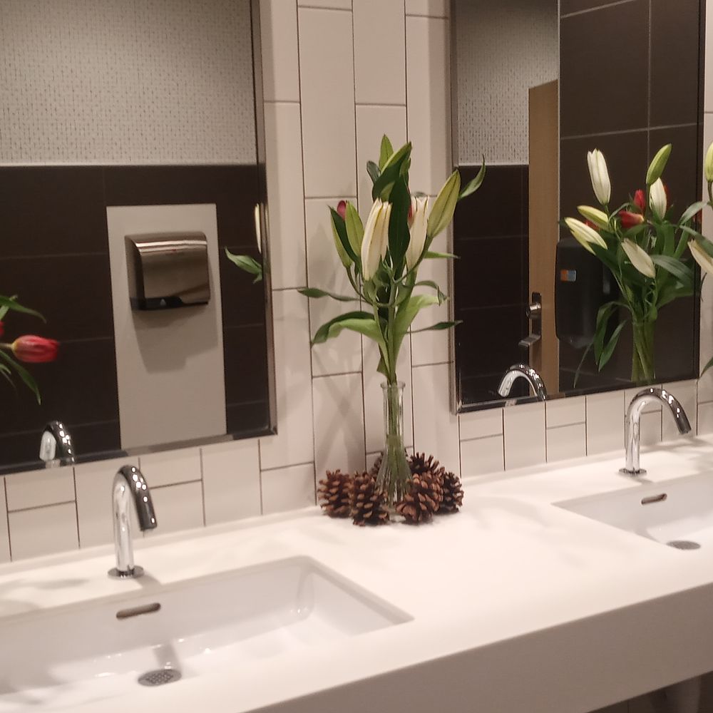 McDonalds - Lovely Ladies Room - Fast Food Near Me - Wheaton, Illinois