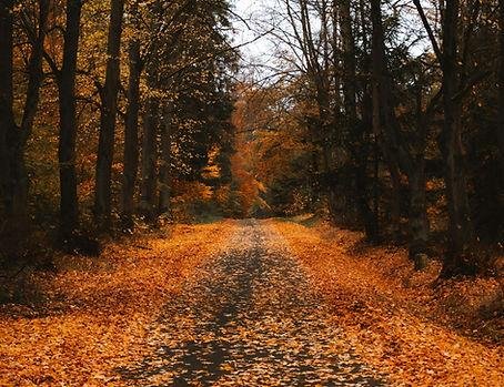 Dlowe Counseling Services - grief counselor in Sugar Land, TX